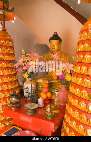 dh zehntausend Buddhas Kloster SHATIN HONG KONG Golden Buddha Statue Schrein am Eingang zum Pagodentempel china Religion buddhist Stockfoto