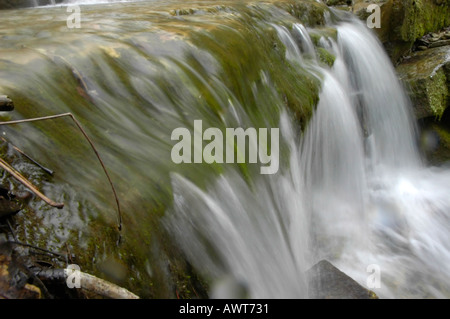 Wasser kaskadenförmig ein kleiner Wasserfall am kristallklaren Bach Stockfoto