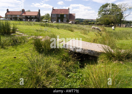 Das Dorf Grün in Goathland (Aidensfield in Yorkshire Fernsehserie Heartbeat), North Yorkshire Stockfoto