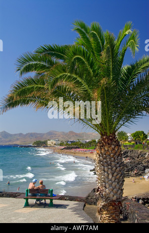 PLAYA DEL CARMEN Paar auf der Werkbank von Palm Tree mit Blick auf die Sandy Holiday Beach Blick auf Puerto del Carmen Lanzarote Kanarische Inseln Spanien gerahmte Sitzen Stockfoto