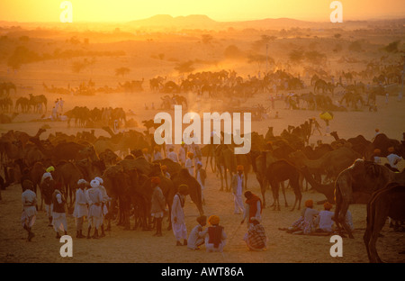 Sonnenuntergang über der Camel Fair ground in Pushkar liegt in der Wüste Thar Rajasthan Indien Stockfoto