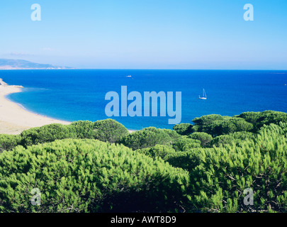 Pinienwälder, unberührte Strände und Segeln im Atlantik, Andalusien, Spanien. Costa De La Luz. Barbate Stockfoto