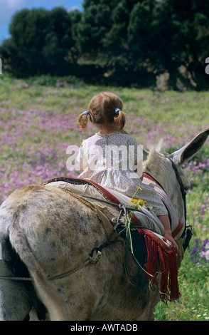 Kleines Mädchen auf Esel in einem Feld von wilden Blumen, Andalusien, Spanien. Costa De La Luz Stockfoto