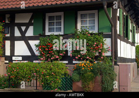 Halbe Fachwerkhaus mit Blumen geschmückt Stockfoto