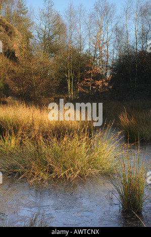 Wintermorgen in Parkhall Landschaft Park Stockfoto