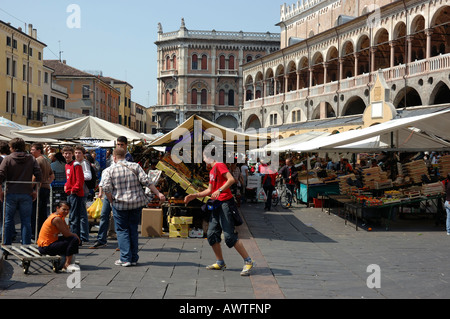 Menschen, die an der Markt der Piazza delle Erbe, Padua, Italien, Europa Stockfoto