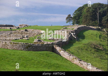 Housteads auf Hadrian Wall, Northumberland, England Stockfoto