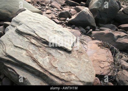 Große Felsbrocken, lila gefärbt, an der Meeresküste Stockfoto