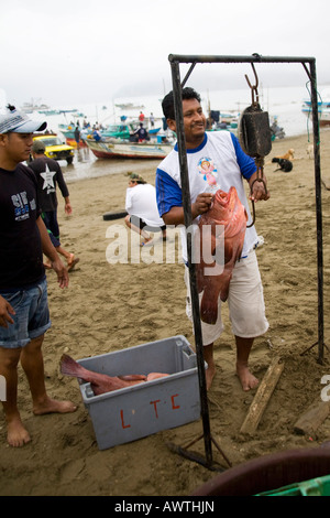 Fischer wiegen frischer Fisch am Strand Puerto Lopez Angeln Harbour Markt Ecuador Südamerika Stockfoto