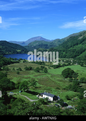 Llyn Gwynant, Tal und Moel Hebog im Sommer Snowdonia Gwynedd North Wales UK Stockfoto