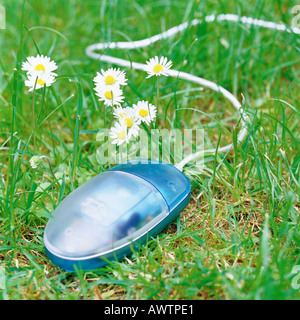 Computer-Maus auf dem Rasen neben Blumen Stockfoto