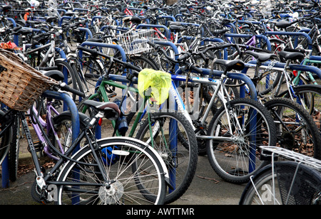 Fahrräder geparkt vor Bahnhof Stockfoto