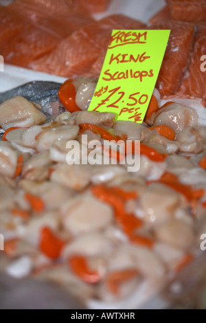 Haufen von frischen König "Muscheln" auf einen Fischhändler frischen Fisch stand auf einer Markthalle Stockfoto