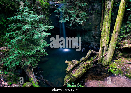 Heitere Sempervirens fällt in großen Becken Redwoods State Park Santa Cruz County Kalifornien Stockfoto