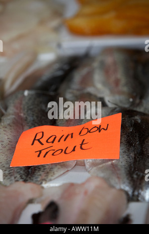 Regenbogen Forellenfilets mit anmelden ein Fischgeschäft frischen Fisch stand auf einer Markthalle Stockfoto