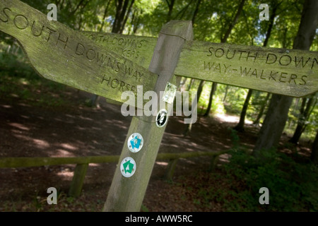 Entscheidungen Nahaufnahme Wegweiser Queen Elizabeth Country Park in der Nähe von Petersfield Hampshire UK Stockfoto