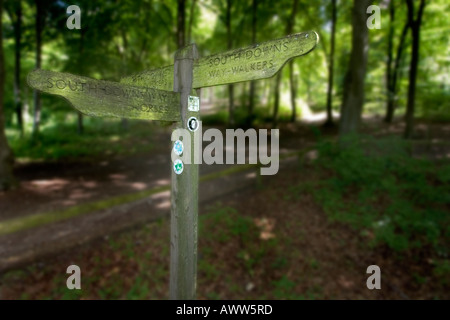 Decisions Wegweiser Queen Elizabeth Country Park In Der Nähe Von Petersfield Hampshire England VEREINIGTES KÖNIGREICH Stockfoto