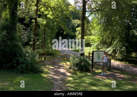 Queen Elizabeth Country Park in der Nähe von Petersfield Hampshire Stockfoto