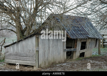 Ein altes verwittertes Holz- Chicken House mit Frost und Eiszapfen an einem kalten Wintermorgen Stockfoto