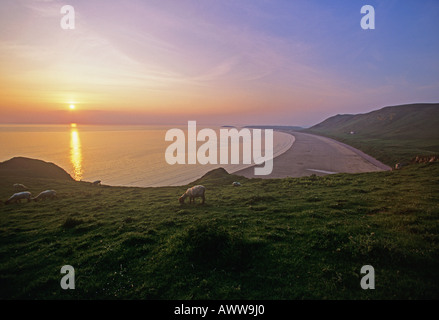 Breiten Sandstrand von Rhossili Bucht am westlichen Ende auf The Gower Halbinsel West Glamorgan Stockfoto