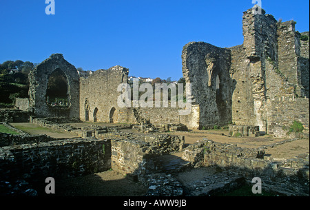 St. Dogmaels Abbey in der Nähe von Cardigan stammt aus 1115 Stockfoto