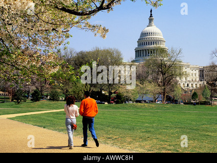 Im Frühling spazieren Touristen auf der National Mall durch das Kapitolgebäude Washington DC. Nationales Wahrzeichen der USA Stockfoto