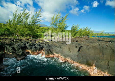 POINTE CORAIL - RÉUNION Stockfoto