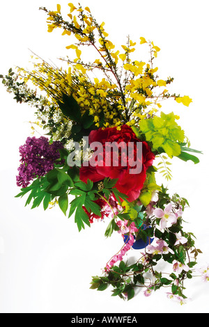 Sring Blumen Bukett, close-up Stockfoto