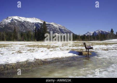 Überschwemmten Wiesen um Canmore, Alberta Stockfoto