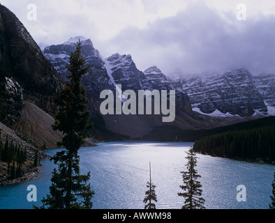 Hinterleuchtete Berg Hemlocktannen, Maligne Lake, Rocky Mountains, Banff Nationalpark, Alberta, Kanada Stockfoto