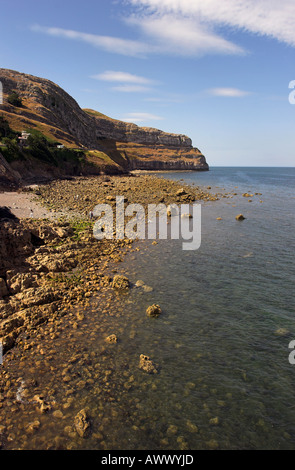 Kalkstein-Klippen und Küsten auf Marine drive Great Orme in Llandudno Nord-Wales Stockfoto