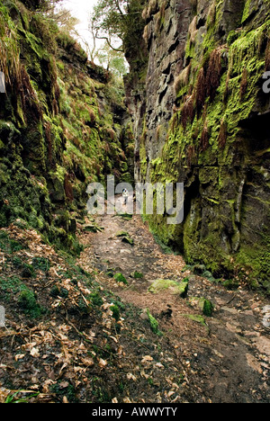 Lud die Kirche Schlucht, Gradbach, Peak District National Park, England Stockfoto