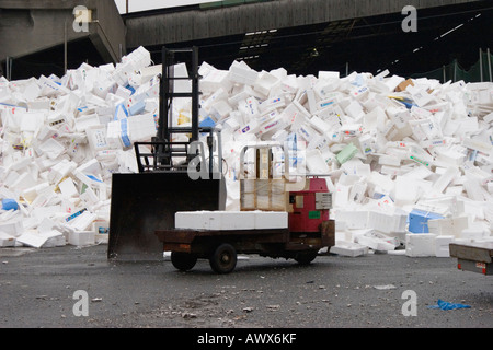 Ein Haufen von Polystyrol Fisch Kartons auf zentrale Großhandel Fischmarkt Tsukiji in Tokio Japan Stockfoto