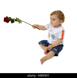 kleiner Junge bietet eine Rose, Deutschland Stockfoto