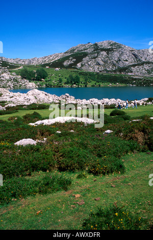 Lago De La Ercina See in Picos de Europa in der Nähe von Covadonga Stockfoto