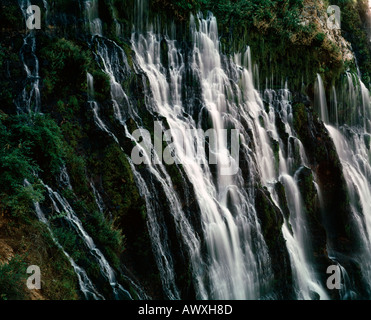 Weinende Wasserwand Kaskaden 129 Füße über McArthur Burney Fälle im McArthur Burney State Park in Nord-Kalifornien Stockfoto