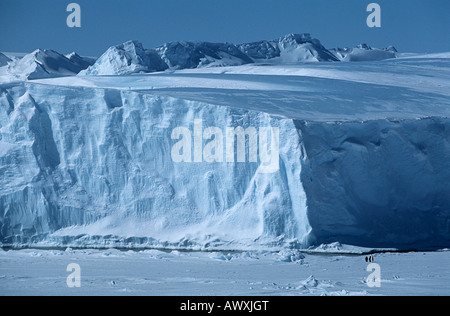 Antarktis, Weddell-Meer, Schelf Larsen-Schelfeis, Eisberg mit Kaiserpinguinen Stockfoto