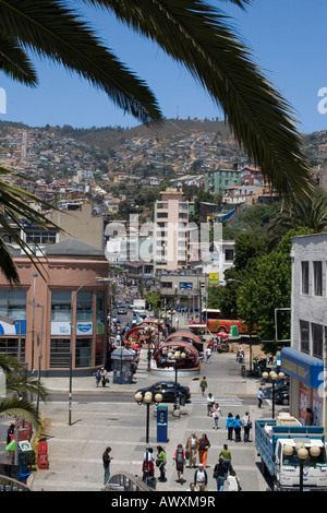 Ansicht der chilenischen Stadt Valparaiso mit Palme Blätter im Vordergrund Stockfoto
