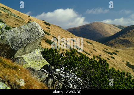 Mild, geprägt von Hügeln des östlichen Nizke Tatry Mountains Nationalpark, Slowakei Stockfoto