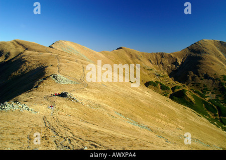 Main Ridge Nizke Tatry Berge, Herbst, Slowakei Stockfoto