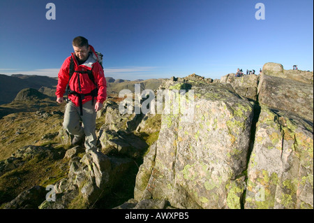 Hill-Walker auf dem Gipfel des Harrison scheut, Langdale Pikes, Lake District, Großbritannien Stockfoto