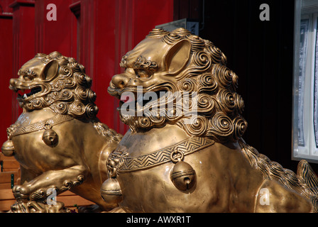 Chinesische kaiserliche Wächter Löwen, auch ein Fu Löwe oder ein Foo Dog genannt. Stockfoto