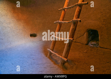 Alkoven-Haus-Leiter im Bandelier National monument Stockfoto