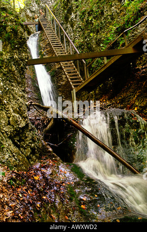 Leitern und Wasserfälle der herbstlichen Horne Diery Schlucht, Mala Fatra Gebirge, Slowakei Stockfoto