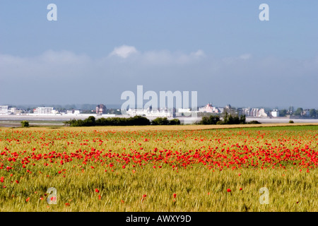 Blick über die Somme-Mündung in Richtung Le Crotoy von Le Cap Hornu mit Mohnblumen im Maisfeld an sonnigen Tag Stockfoto