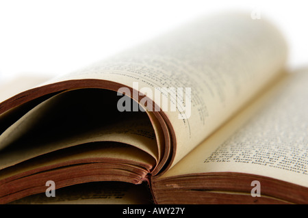 Alte offene zerfetzten Buchseiten Stockfoto