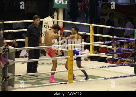 Muay Thai (Thaiboxen) Lumpini Stadion Bangkok Stockfoto