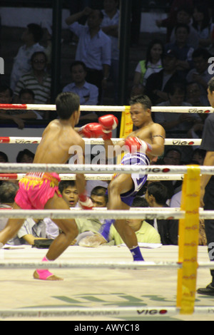 Muay Thai (Thaiboxen) Lumpini Stadion Bangkok Stockfoto