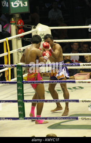 Muay Thai (Thaiboxen) Lumpini Stadion Bangkok Stockfoto
