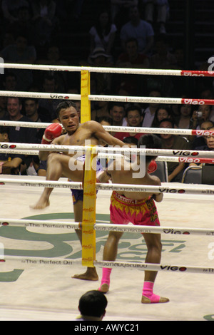 Muay Thai (Thaiboxen) Lumpini Stadion Bangkok Stockfoto